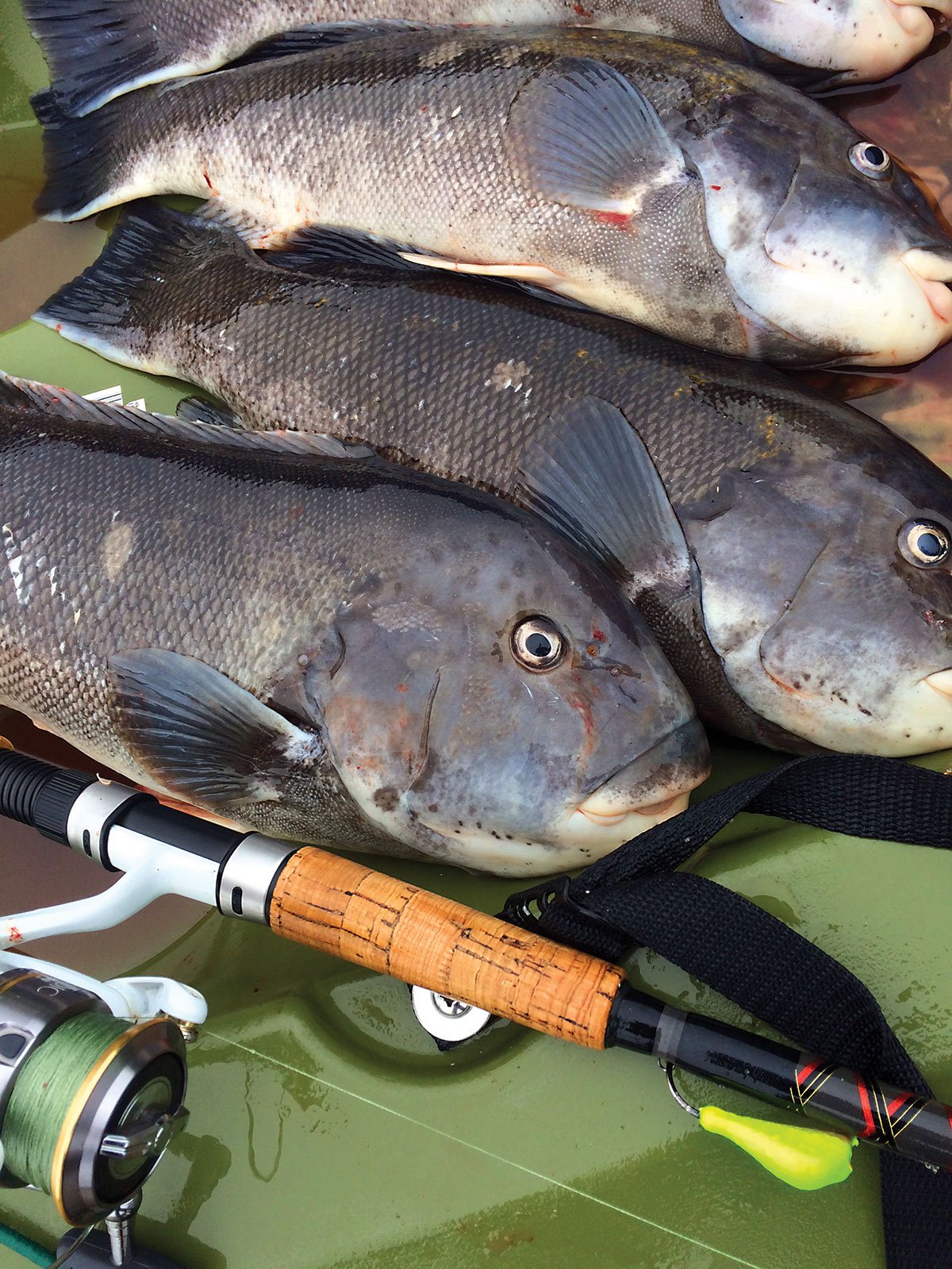 Tog Kickoff: Spring's Soft Bait Secrets - The Fisherman