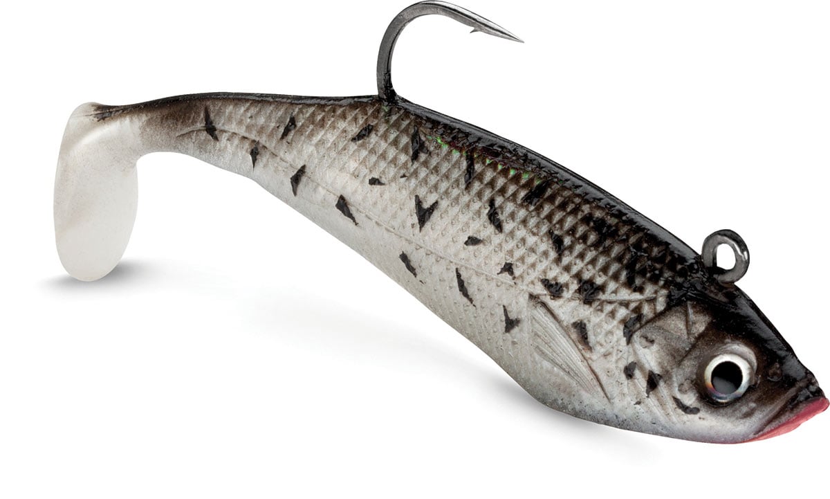 The Evolution of Soft Plastics - The Fisherman