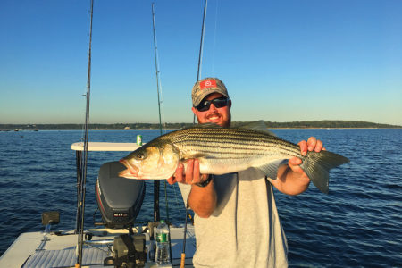2018 5 Baiting For Stripers Catch