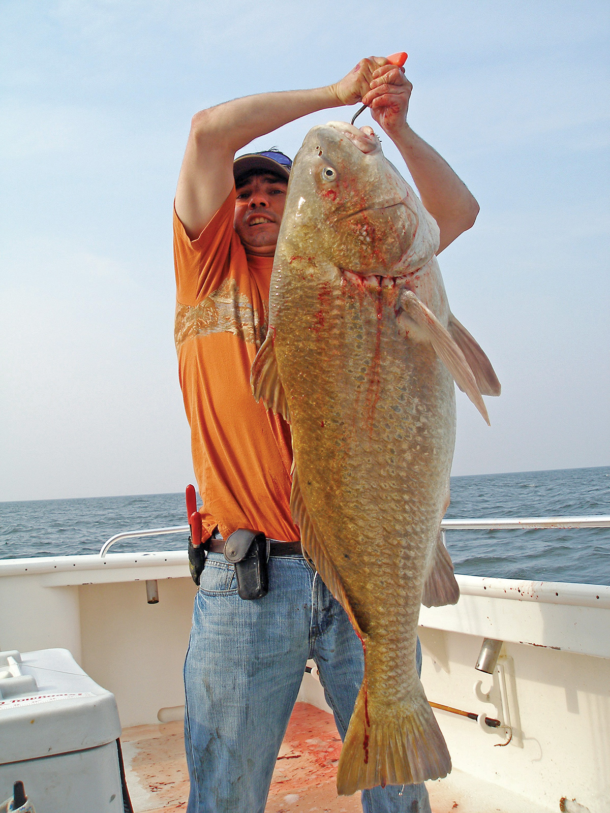 Black Drum: From Delaware to Great Bay - The Fisherman
