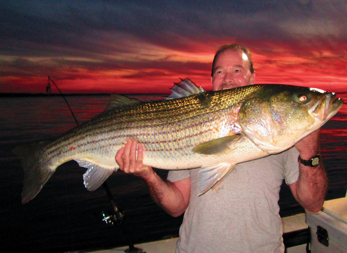 Nighttime Stripers: Live Eeling Done Right - The Fisherman