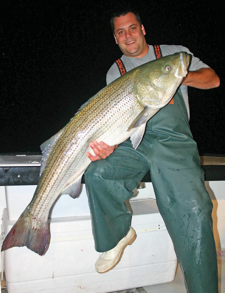 Nighttime Stripers: Live Eeling Done Right - The Fisherman