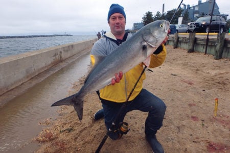 2018 5 The Bluefish Blitzkrig BLUEFISH MAIN HORIZONTAL