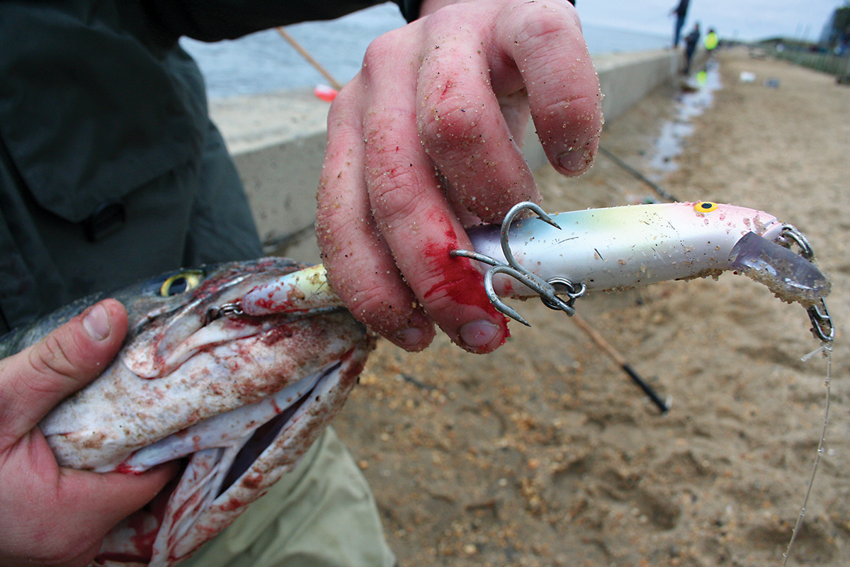 2018 5 The Bluefish Blitzkrig TREBLE