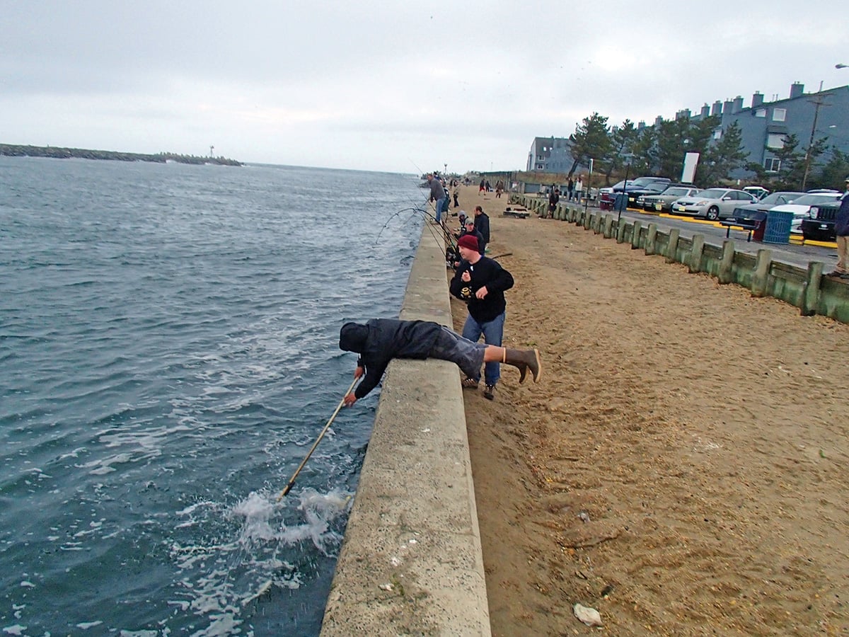 2018 5 The Bluefish Blitzkrig WALL LANDING