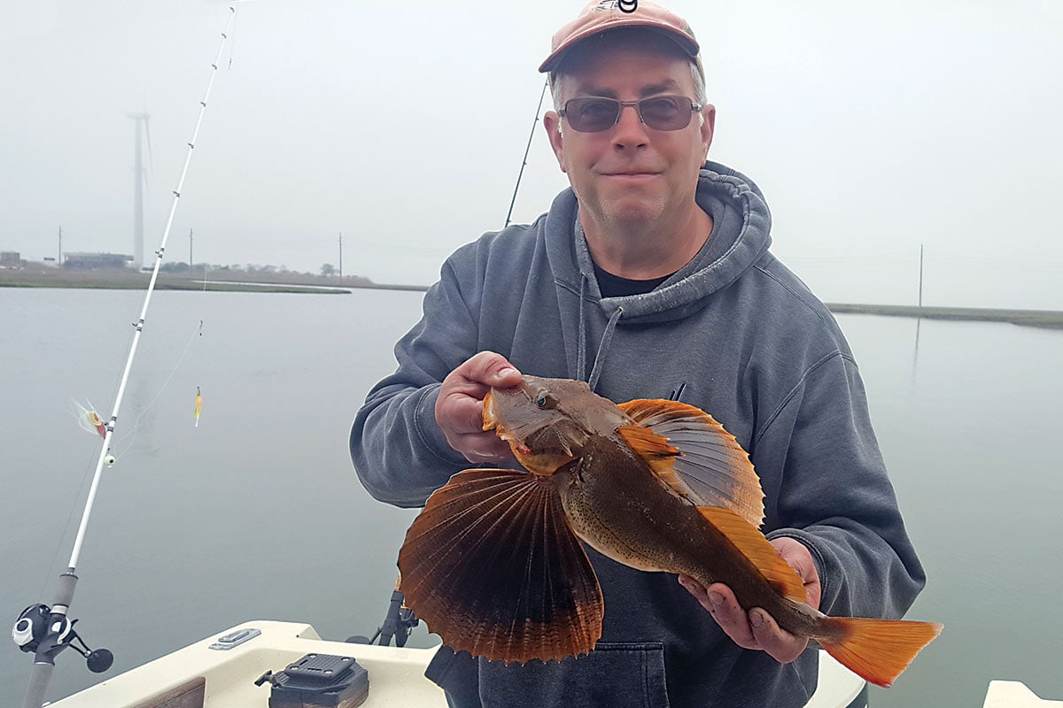 2018 6 SEA ROBIN Salad ERIC M