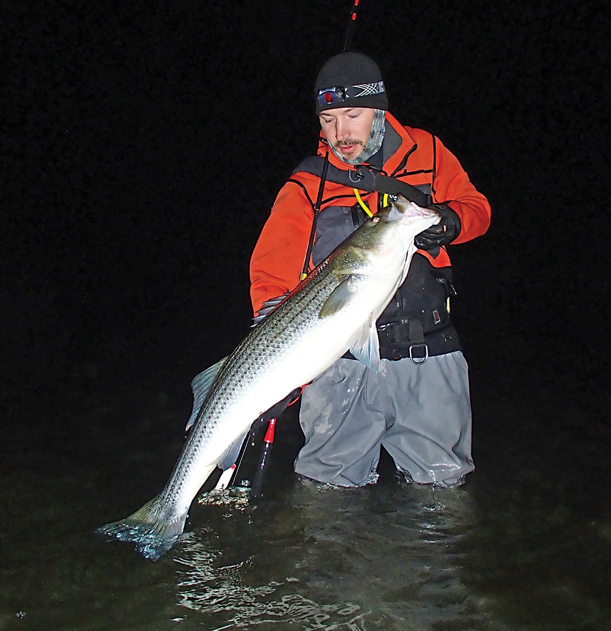 The Night Shift: Big Plugs for Bigger Stripers - The Fisherman