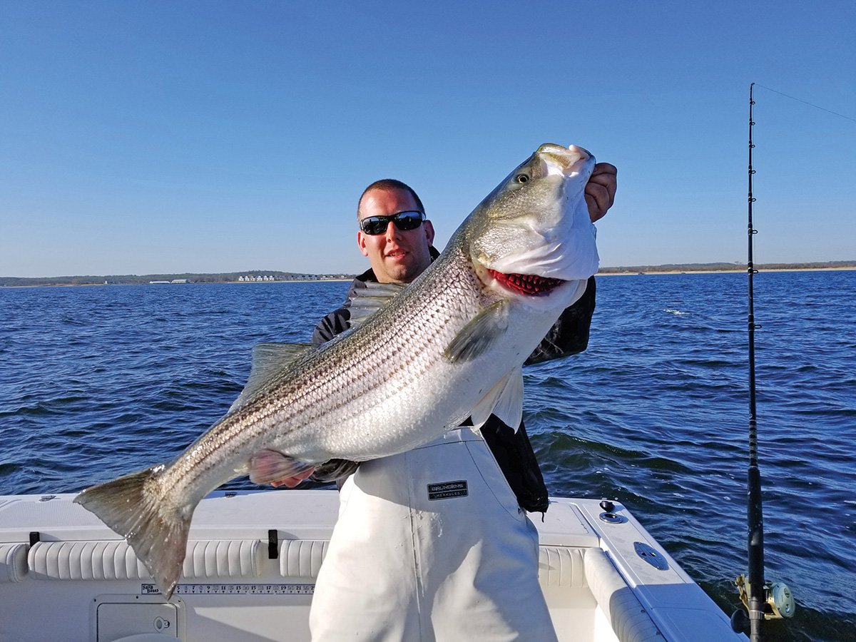 Got Bunker? Live Bait & Monster Bass - The Fisherman