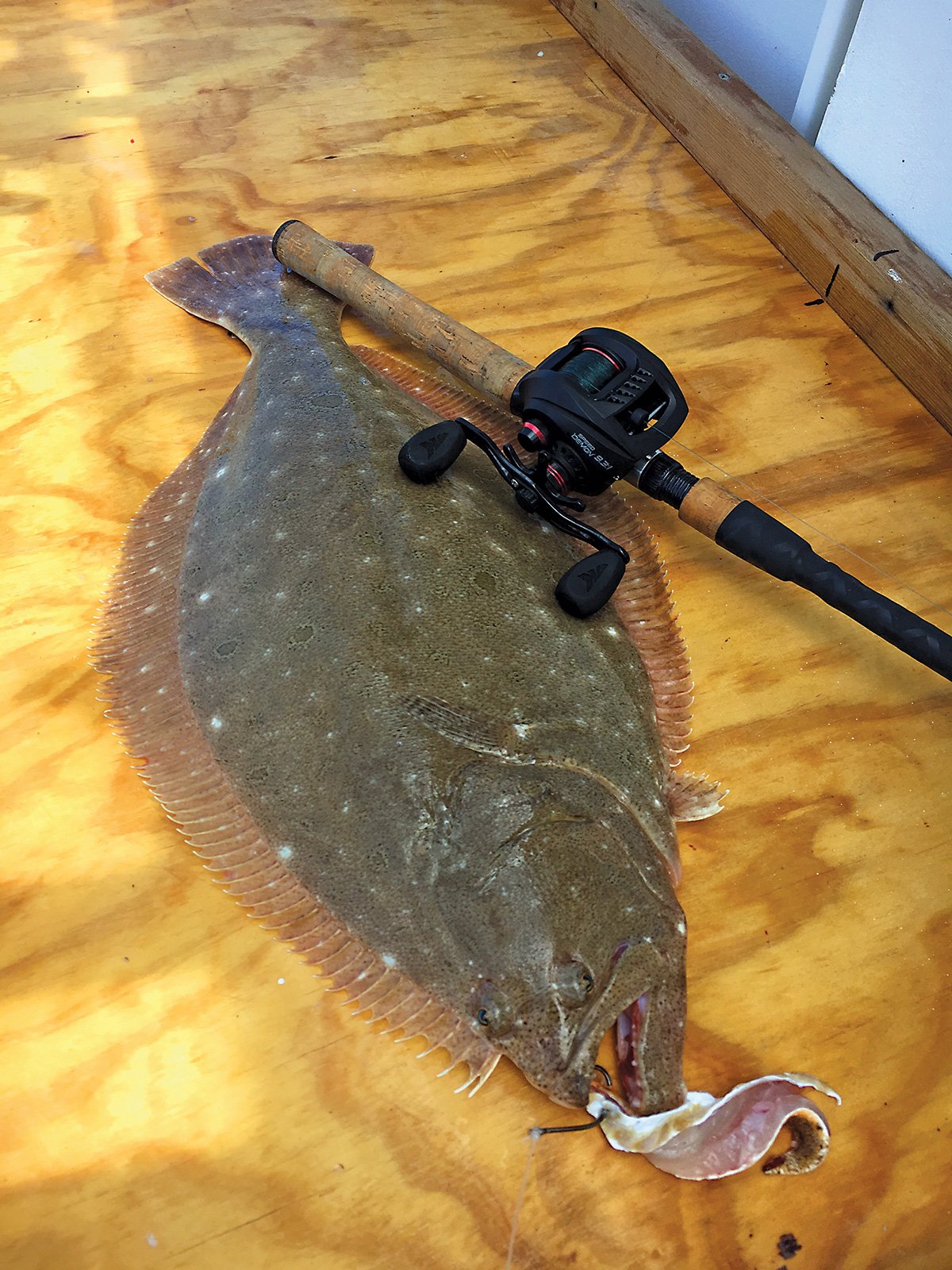 DOORMAT FLOUNDER: The Best Lure For Big Flatties (And How To Use It) 