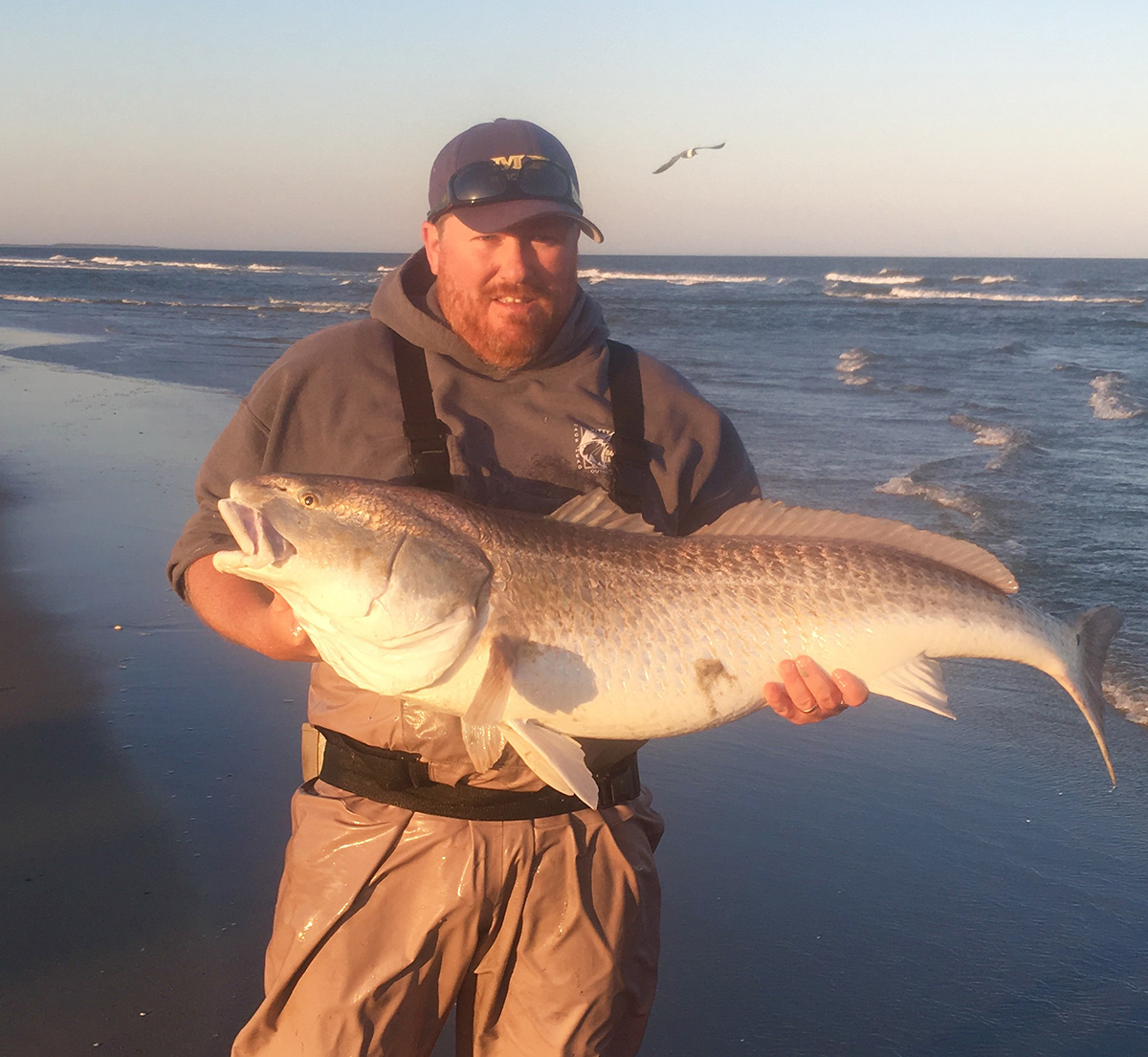 Redfish: Are “Reds” in Our Future? - The Fisherman
