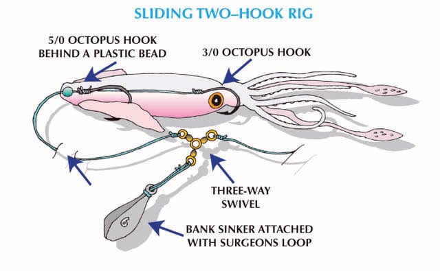 2018 8 Diversify Your Fluke Fishing Tandem Hook Rig