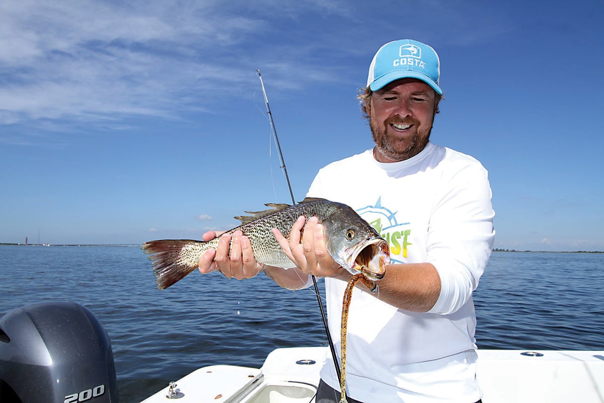 2018 8 Weakfish Of Summer Kirk Worm