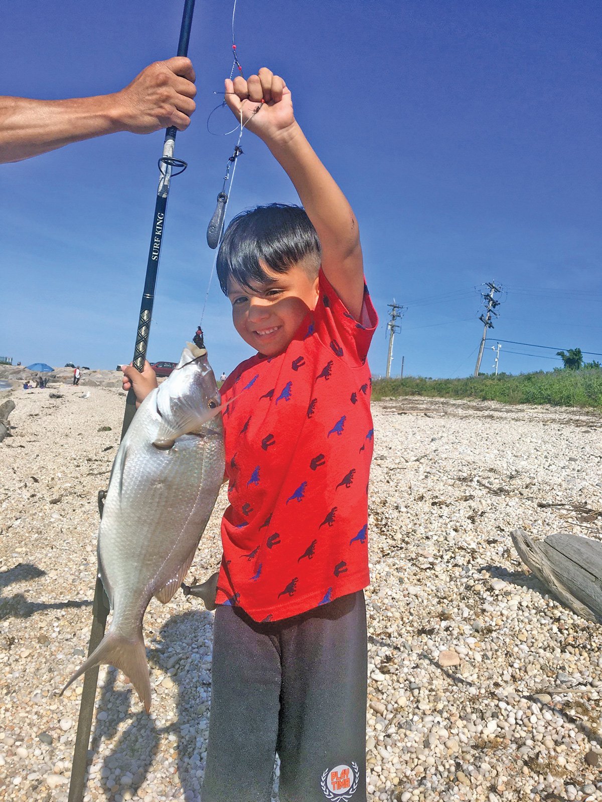 Porgies: A Surf Fishing Alternative - The Fisherman