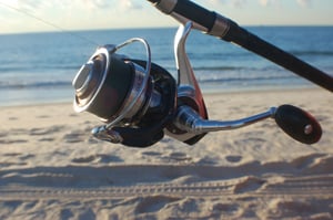 daiwa isla