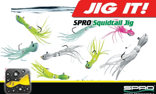 Spro squid tail jig Clearance