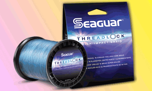 Seaguar Threadlock Braided Fishing Line, Blue, 50 lb/600 yd