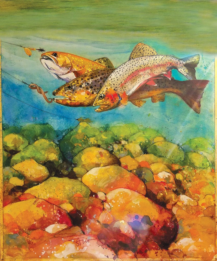 2017 4 Top Lures Flies Baits For Trouts Art