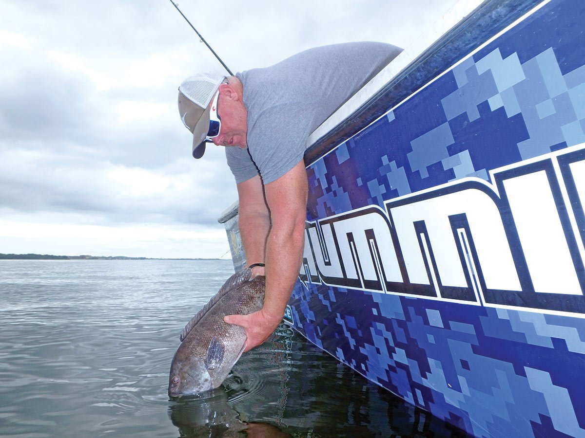 2018 11 Putting It All Together Blackfish Main
