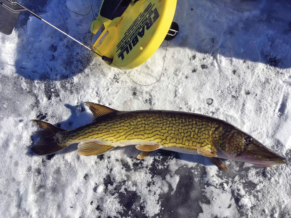 2018 12 A First Time For Hard Water TIPUP