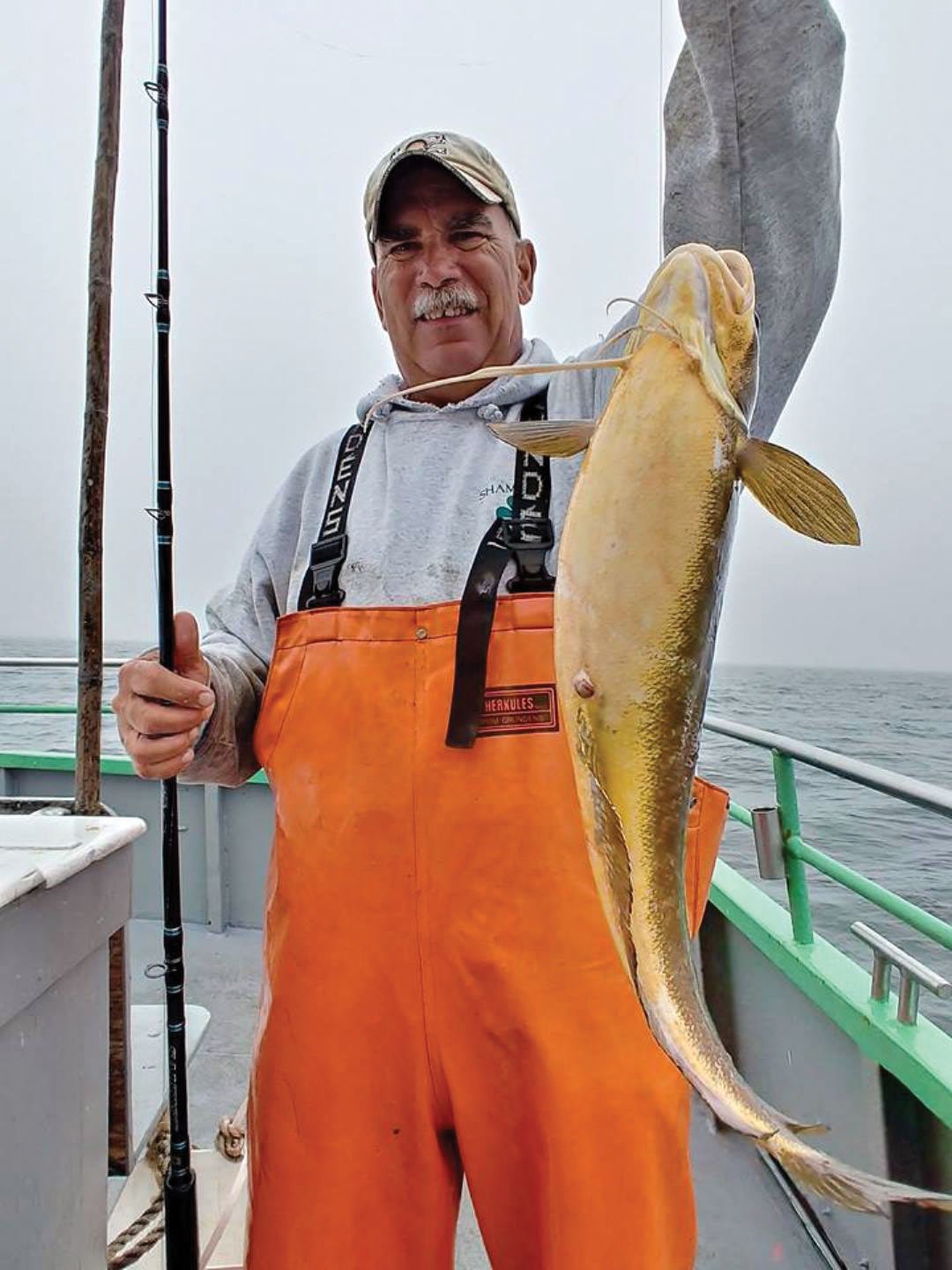 2018 12 Ring A Ling Ling Catch Yellow