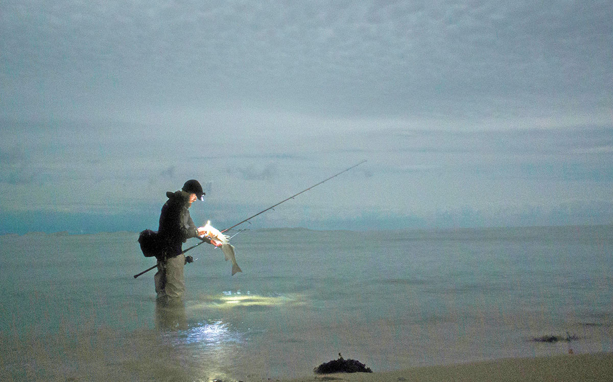 Surf Shot: Subtle Sand Eel Solutions - The Fisherman