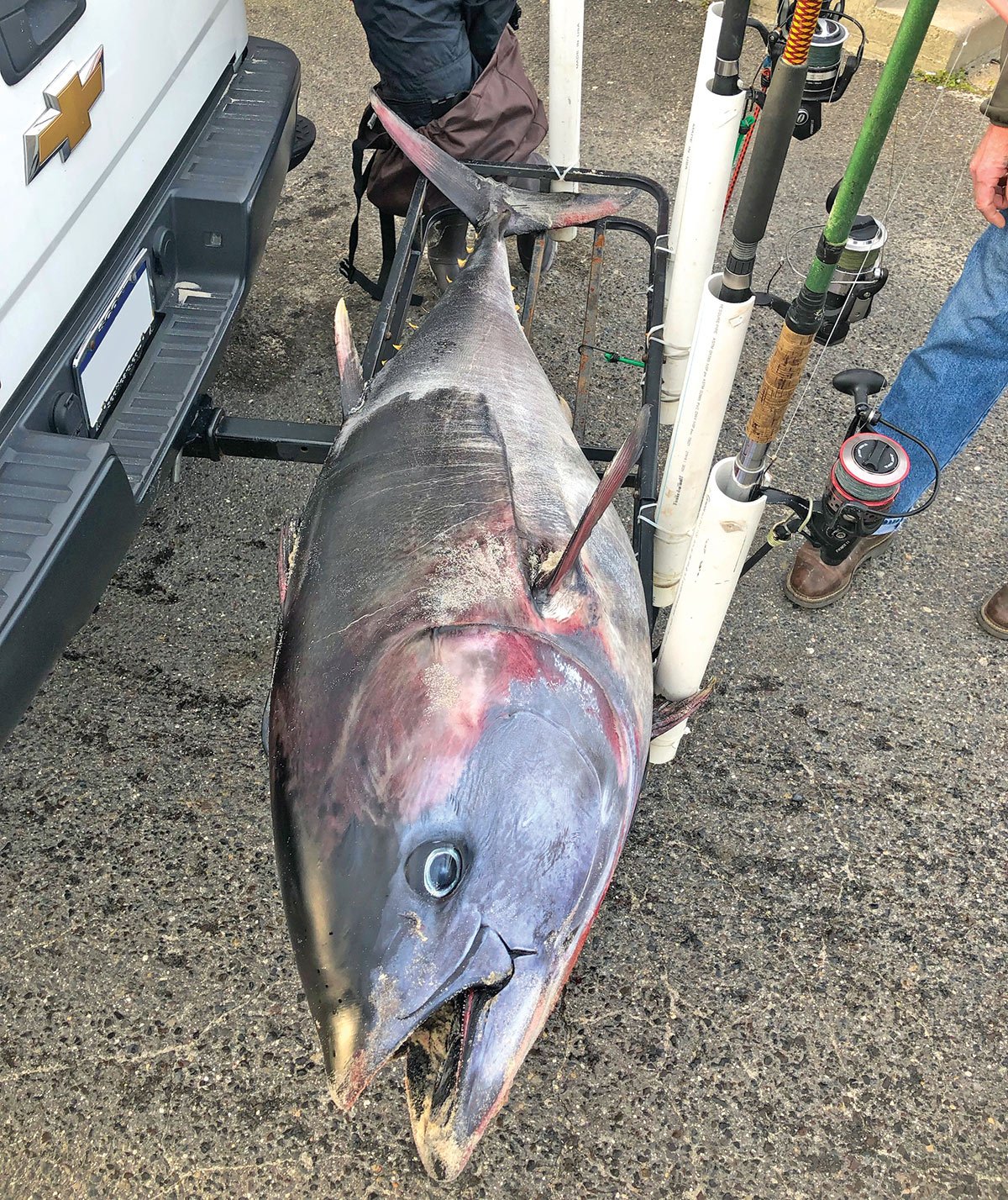 2018 12 Tuna Tussle BLUEFIN