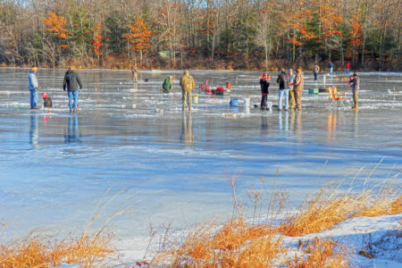 2019 1 The Ice Is Nice People