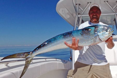 2019 2 Build Your Own Bait Pen Mahi Kirk Fay