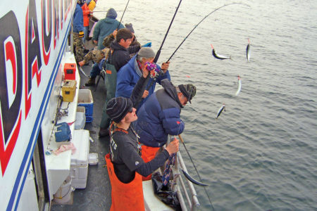 2019 2 Winter Mackerel HEADBOAT