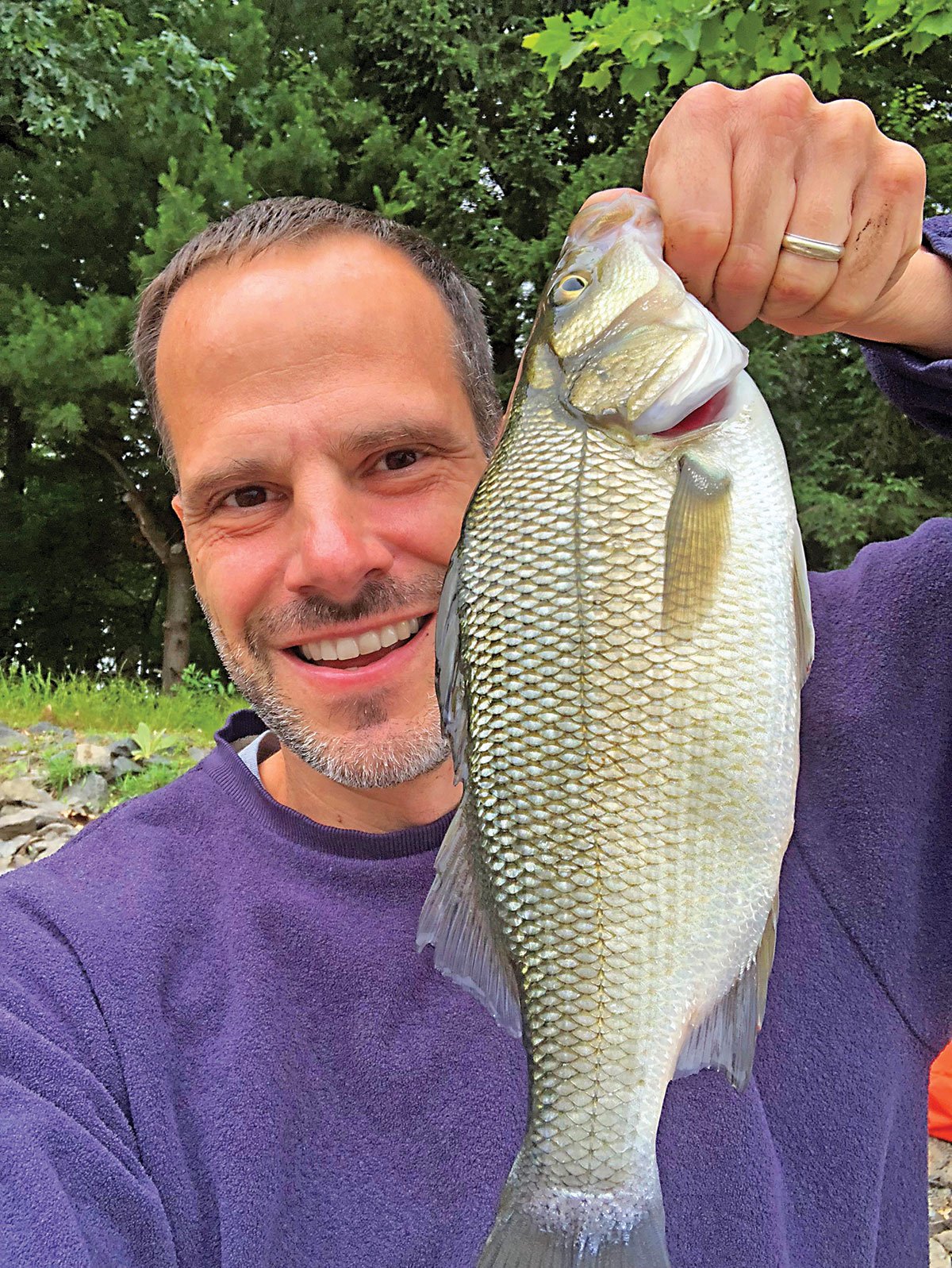 Tidal Panfish: Winter White Perch - The Fisherman