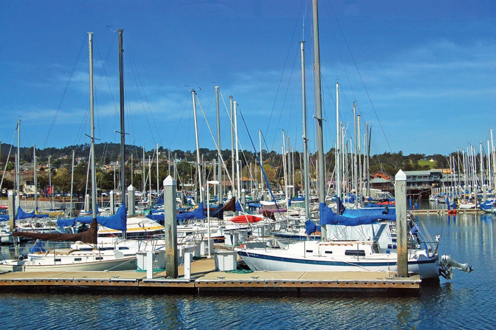 2019 3 Targeting Marina Channel Fluke MARINA