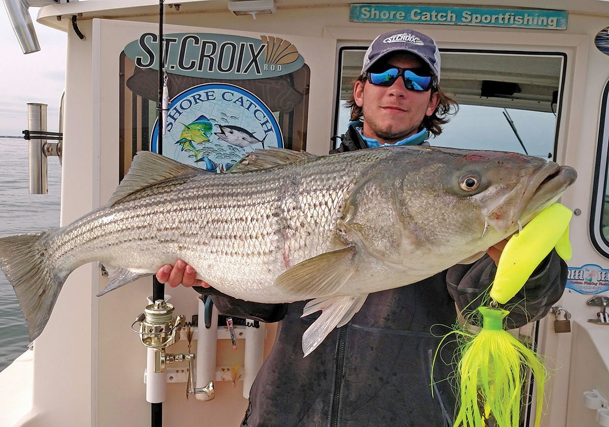 Spoons or Mojos? The “Big Game” Striper Combo - The Fisherman