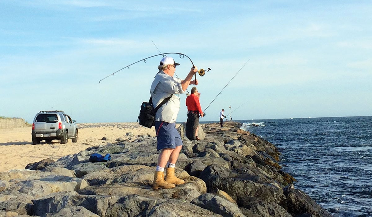 2019 3 The Overlooked Jig Throw