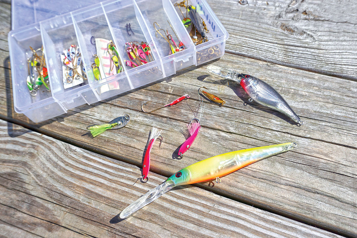 2019 3 Wading For Delaware Shad Collection