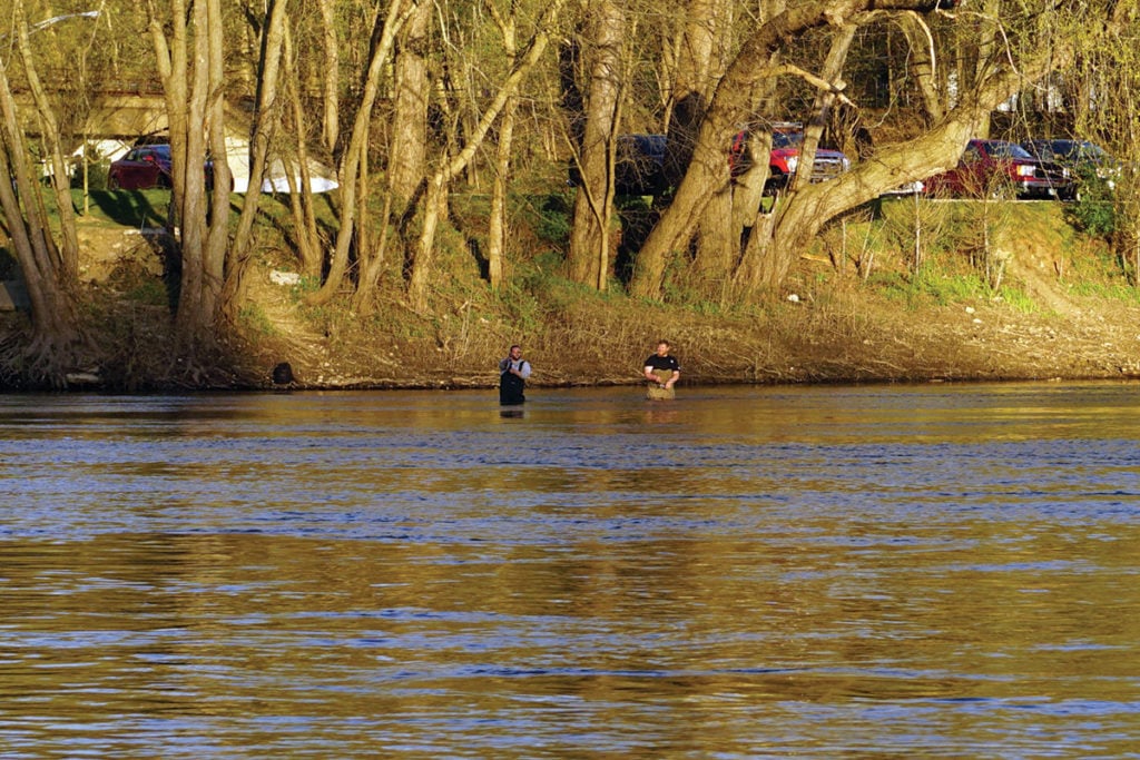 2019 3 Wading For Delaware Shad Water