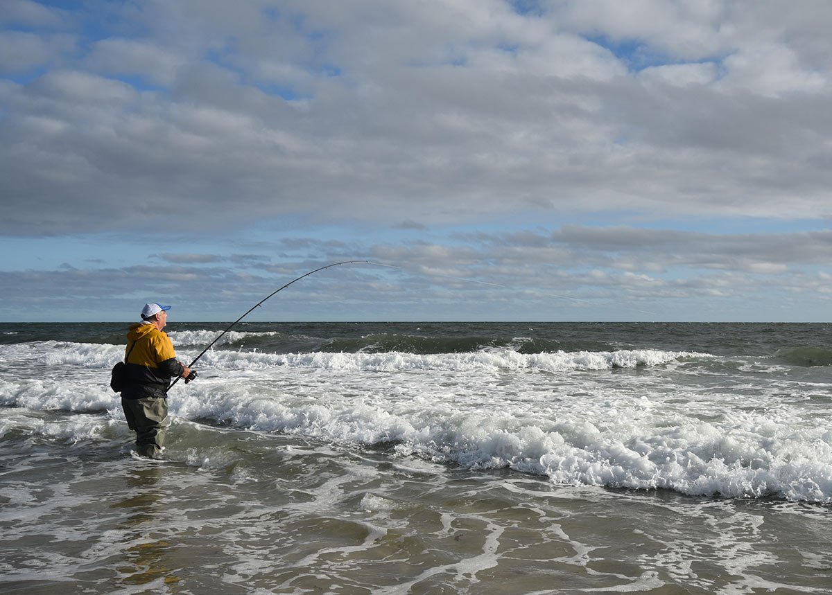 2019 4 Catch And Release Mortality Shore