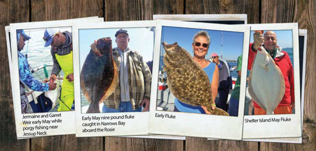 2019 4 Early Season Fluke Group