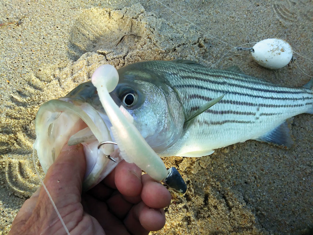 2019 4 Fishing From The Bottom Up Show Catch