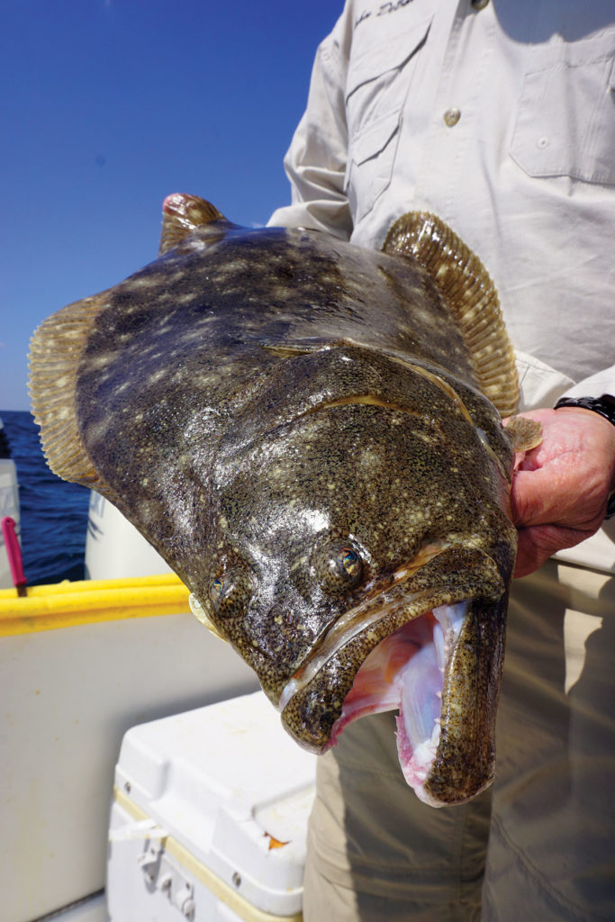 2019 4 Fluke Status Science Cus Both Ways Fish