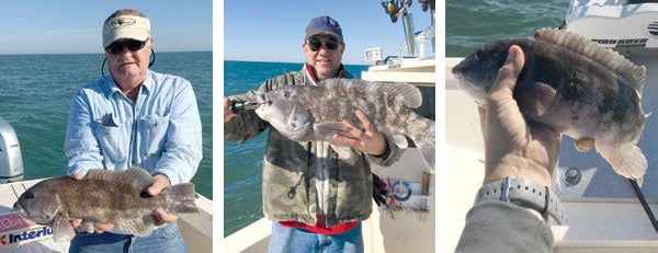 2019 4 Game Changing Tautog Catch