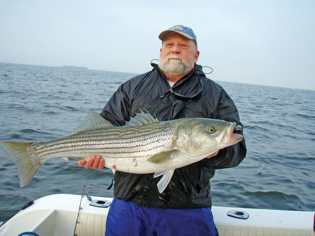 2019 4 Striped Bass Where Are We Headed Catch