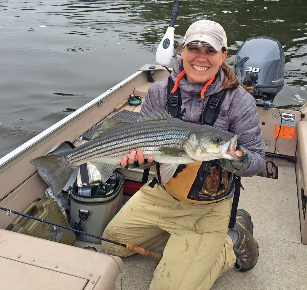 2019 4 The Striper Playbook Fish
