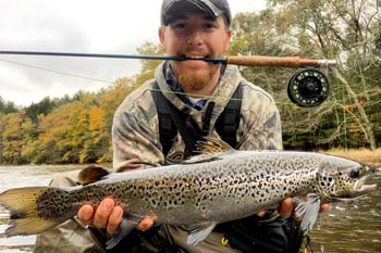 ATLANTIC SALMON IN NAUGATUCK RIVER, CT - The Fisherman