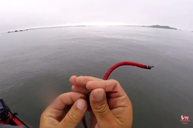 KAYAK INSIDER - THE DEADLY TUBE & WORM - The Fisherman