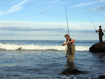Montauk: Fishing The Blow - The Fisherman
