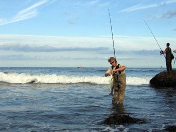 Montauk's North Side Surf, NY - The Fisherman