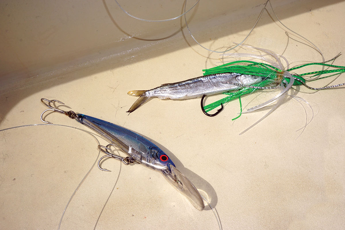 two baits attached to a hook and line