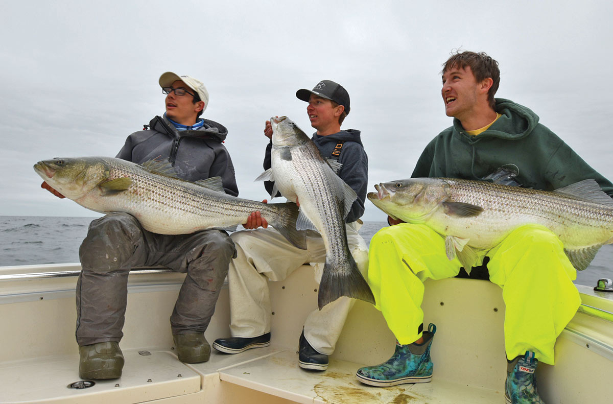 Three men sitting on a boat showing their striped bass fishes