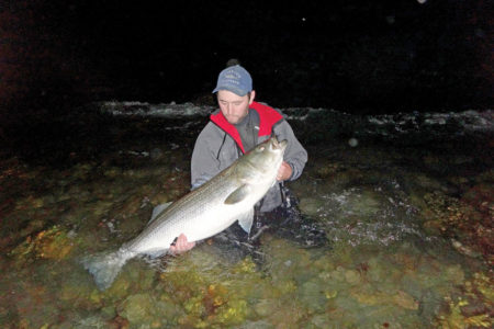Man near the shore tackling a striped bass