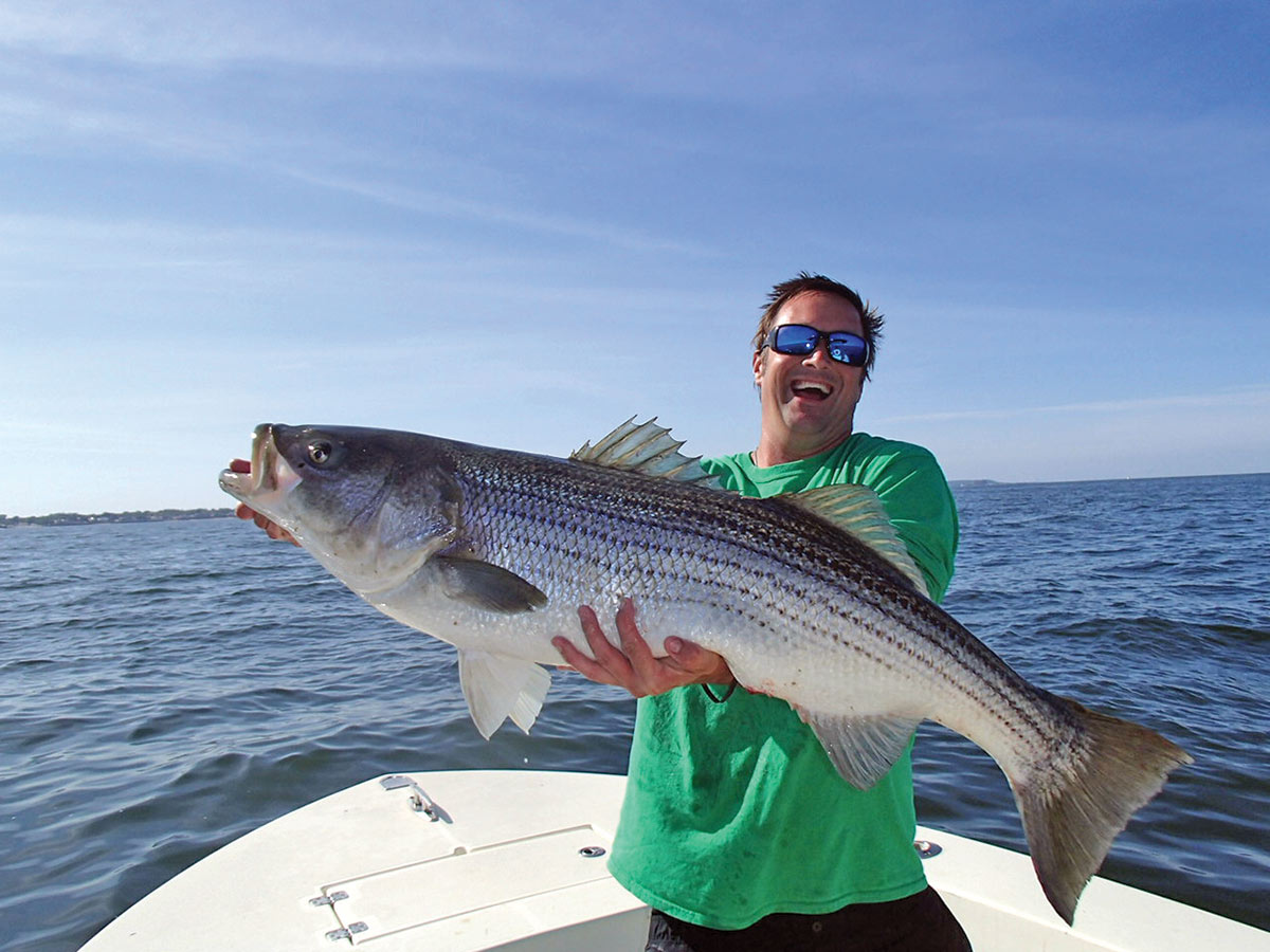 Nick Honachefsky holding a big striper horizontally with one hand underneath to support the weight of the fish. 